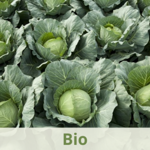 Gamme de choucroute Bio Meyer-Wagner