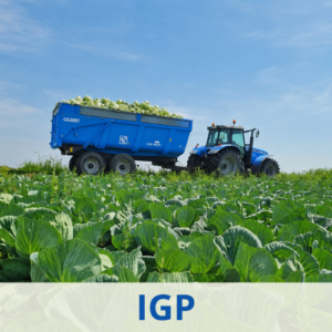 Gamme de choucroute d'Alsace IGP Meyer-Wagner